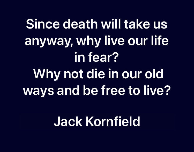 Be Free To Live E1688134481122