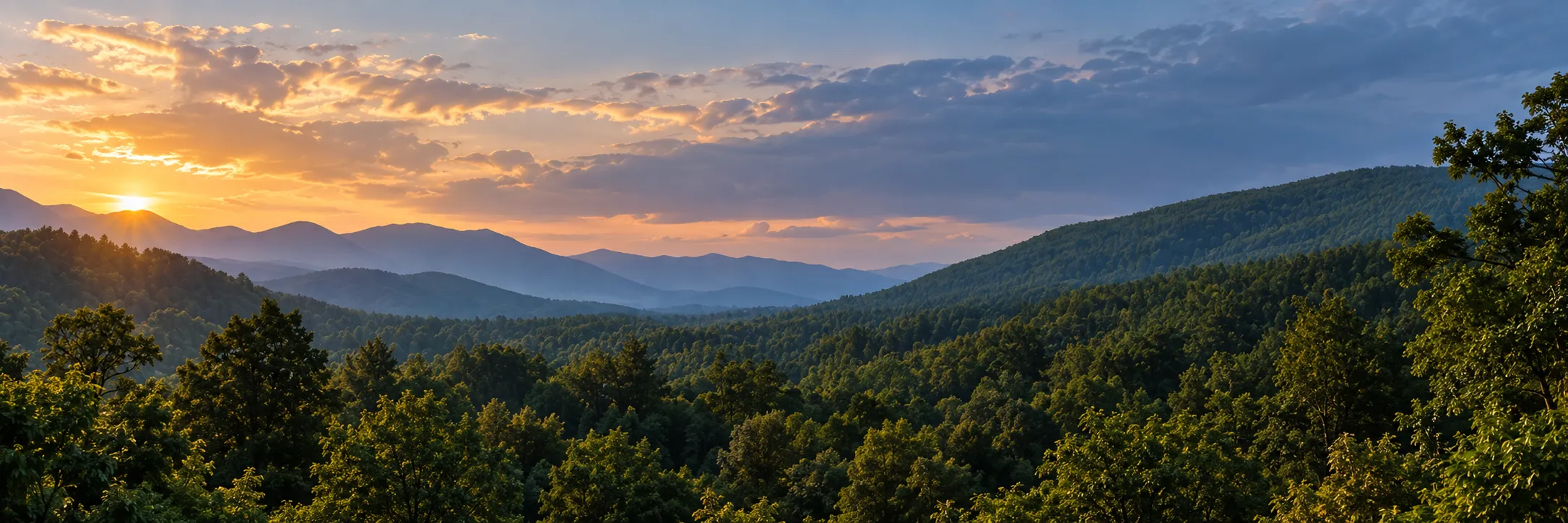 Serene nature scene