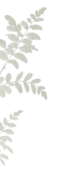Decorative leaf background