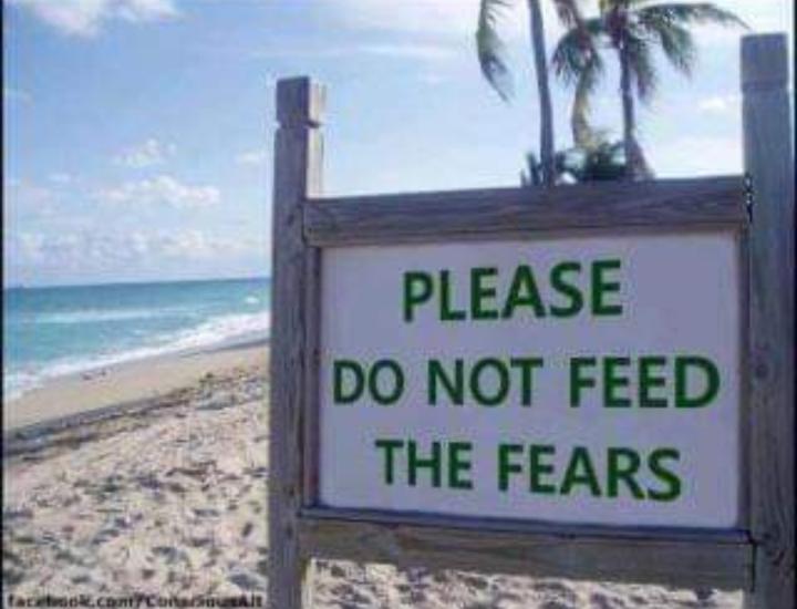 Please Do Not Feed The Fears